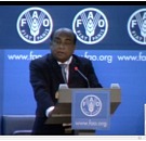 FAO Rome June 2013